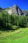 Salita da Carona al Madonnino nella splendida giornata del 24 agosto 08 - FOTOGALLERY
